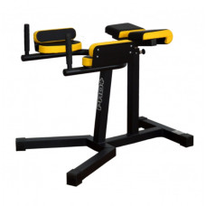 ГІПЕРЕКСТЕНЗІЯ ЗВОРОТНЯ