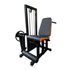 РОЗГИНАЧ СТЕГНА