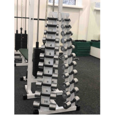 Набор гантелей хром-пластик (1-10 кг) без стойки