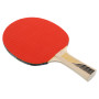 Ракетка для настольного тенниса Donic-Schildkrot Legends 200 FSC 705221 (Оригинал)