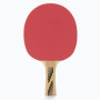 Ракетка для настільного тенісу Donic-Schildkrot Legends 300 FSC 705234 (Оригінал)