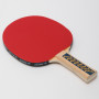 Ракетка для пінг-понгу Donic Appelgren Level 500