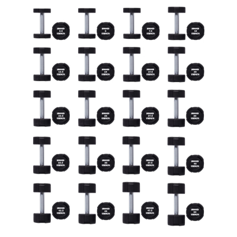 Гантельний ряд 2.5-50 кг Hammer Strength TPU (20 пар) 1050 кг