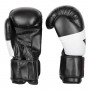 Боксерські рукавички Everlast 10oz Чорні EV-10BK