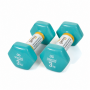 Гантели для фитнеса Gemini Sport с виниловым покрытием 2×3 кг GSD-3.0CYAN