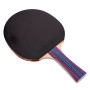 Ракетка для настольного тенниса в чехле STIGA Force ST-204A