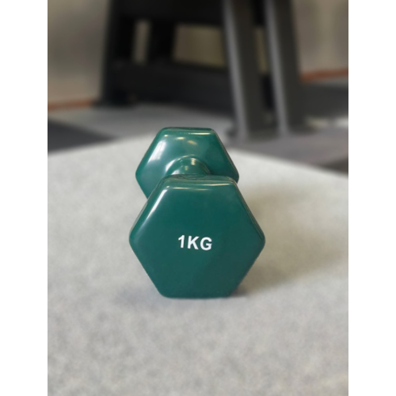 Гантель для фітнесу з вініловим покриттям Generation Fitness FF51D3A-1kg (темно-зелений)