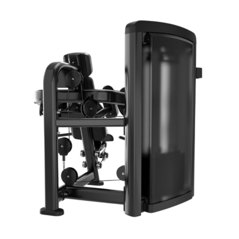 Згинання біцепса Generation Fitness Biceps Curl GFH05
