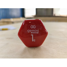 Гантель для фітнесу з вініловим покриттям 2шт по 1.0кг Gemini Sport GSD-1.0RED