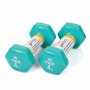 Гантели для фитнеса Gemini Sport с виниловым покрытием 2×4 кг GSD-4.0CYAN