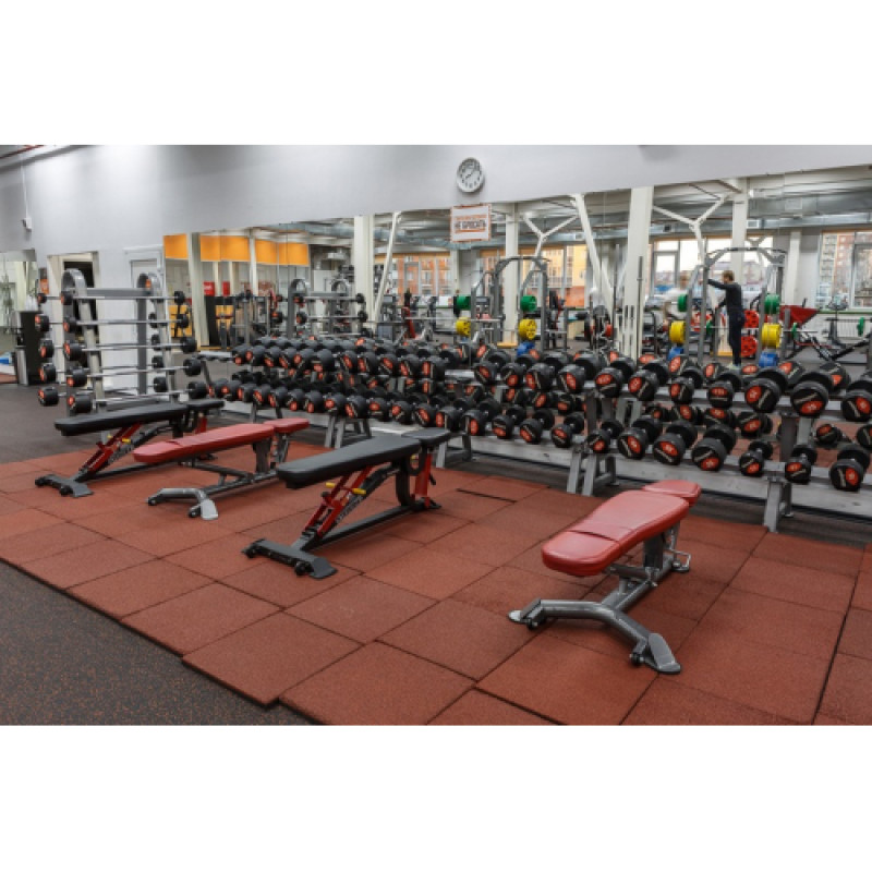 Обгумований гантельний ряд Generation Fitness FDS-01 1-10кг (10 пар) 110 кг