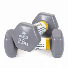 Гантели для фитнеса Gemini Sport с виниловым покрытием 2×2,5 кг GSD-2.5GRAY