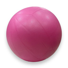 М'яч для пілатесу та йоги Pilates ball Mini Gemini 25cm рожевий