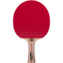 Ракетка для настольного тенниса ATEMI PRO 3000A Carbon (Оригинал)