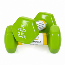 Гантели для фитнеса Gemini Sport с виниловым покрытием 2×2,5 кг GSD-2.5GR