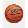 Баскетбольний м'яч Wilson Evolution розмір 7 WTB0516 (оригінал)