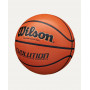 Баскетбольний м'яч Wilson Evolution розмір 7 WTB0516 (оригінал)