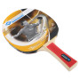 Набір ракетки для настільного тенісу Donic Applegren 300 2-Player Set 788634S (Оригінал)