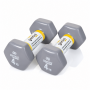 Гантели для фитнеса Gemini Sport с виниловым покрытием 2×4 кг GSD-4.0GRAY