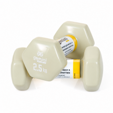 Гантелі Gemini Sport для фітнесу з вініловим покриттям 2шт по 2.5кг GSD-2.5MILK