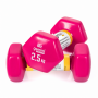 Гантели для фитнеса Gemini Sport с виниловым покрытием 2×2,5 кг GSD-2.5PINK
