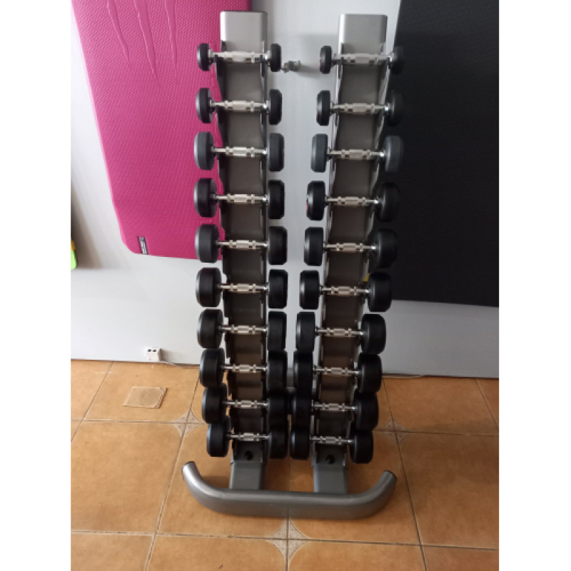 Гантельний ряд 1-10кг + стійка Generation Fitness FDS-01