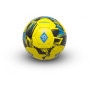 Мяч футбольный клуб Dynamo Kyiv Белый