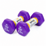 Гантели для фитнеса Gemini Sport с виниловым покрытием 2×2,5 кг GSD-2.5PUR