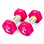 Гантели для фитнеса Gemini Sport с виниловым покрытием 2×4 кг GSD-4.0PINK