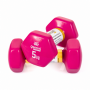 Гантелі для фітнесу Gemini Sport з вініловим покриттям 2×5 кг GSD-5.0PINK