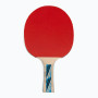Ракетка для настільного тенісу Donic-Schildkrot Legends 700 FSC 734417 (Оригінал)