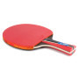 Ракетка для настольного тенниса Landers 6 Star