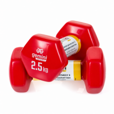 Гантели для фитнеса Gemini Sport с виниловым покрытием 2×2,5 кг GSD-2.5RED