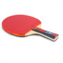 Ракетка для настольного тенниса Landers 5 Star