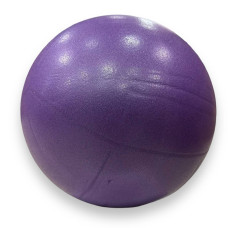 М'яч для пілатесу та йоги Pilates ball Mini Gemini 20cm фіолетовий