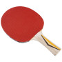 Ракетка для настільного тенісу Donic Top Team 200 Original