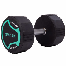 Гантель цельная профессиональная LI NUO GA-3614-22.5 1шт 22.5кг