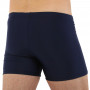 Плавки боксери для чоловічі для плавання розмір XL-3XL Синій H-2073-2   L