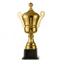 Спортивний кубок з ручками та кришкою, 46 см, золотий 4070-В
