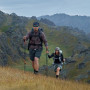 Комплект із трекінгових палиць карбонових телескопічних, 2 шт Naturehike CNK2550DS015, 61–135 см, зелений