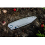 Ніж складаний Ruike P831-SF