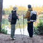 Трекінгова палиця алюмінієва Naturehike Qingxue Base NH17D001-Z, 61–135 см, титановий