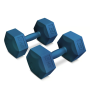 Гантели для фитнеса композитные Hop-Sport HS-C080DS 2х8кг голубой