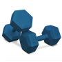 Гантели для фитнеса композитные Hop-Sport HS-C080DS 2х8кг голубой