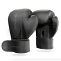 Боксерські рукавиці Hop-Sport HS-BG10 10oz чорні