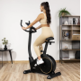 Велотренажер Gymtek XB2500 электромагнитный золотистый