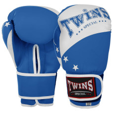 Перчатки боксерские PVC на липучке TWN SPIRIT BO-9476 (р-р 10-14oz, цвета в ассортименте)
