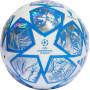 М'яч футбольний Adidas UCL Training IN9326 розмір 5, біло-сірий