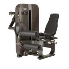 Професійний вантажно-блоковий тренажер Згинання ніг Technogym Leg Curl Artis Unity (з консоллю)