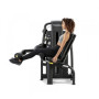 Профессиональный тренажер “Разгибание ног” Technogym Leg Extension (Selection 700)